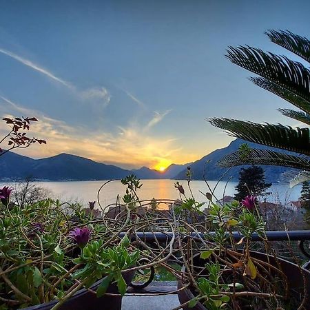 Apartment Terazza Di Ljuta Κότορ Εξωτερικό φωτογραφία