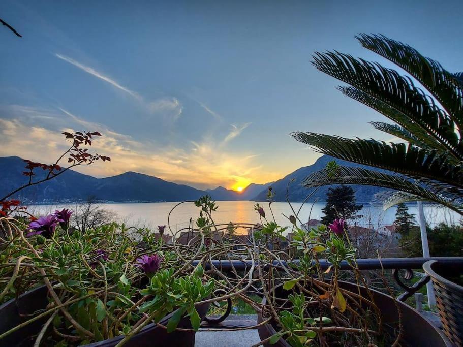 Apartment Terazza Di Ljuta Κότορ Εξωτερικό φωτογραφία
