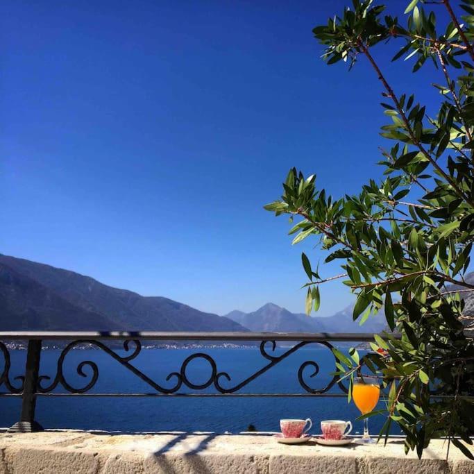 Apartment Terazza Di Ljuta Κότορ Εξωτερικό φωτογραφία
