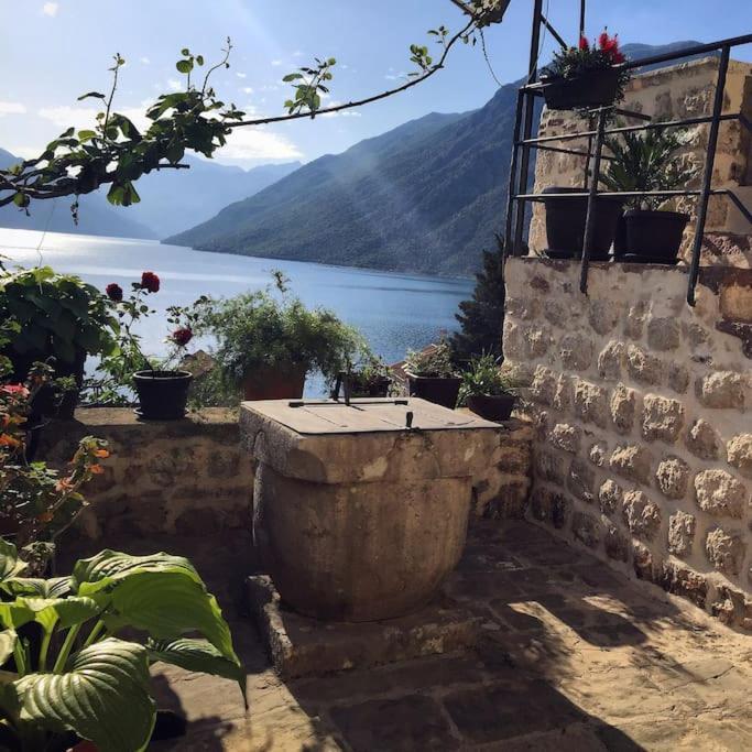 Apartment Terazza Di Ljuta Κότορ Εξωτερικό φωτογραφία