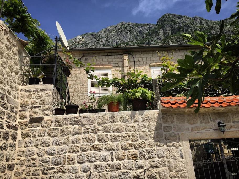 Apartment Terazza Di Ljuta Κότορ Εξωτερικό φωτογραφία